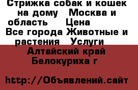 Стрижка собак и кошек на дому.  Москва и область.  › Цена ­ 1 200 - Все города Животные и растения » Услуги   . Алтайский край,Белокуриха г.